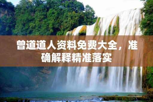 曾道道人资料免费大全，准确解释精准落实