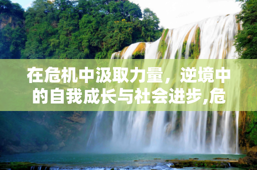在危机中汲取力量，逆境中的自我成长与社会进步,危机中汲取力量