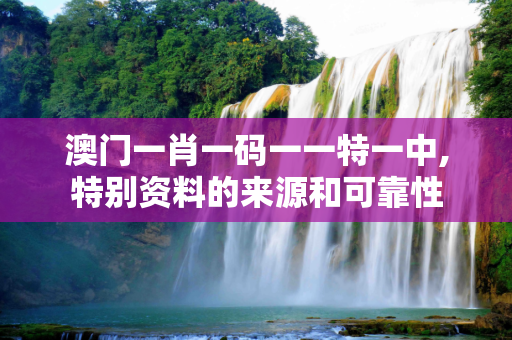 澳门一肖一码一一特一中,特别资料的来源和可靠性
