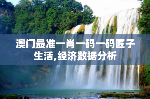澳门最准一肖一码一码匠子生活,经济数据分析