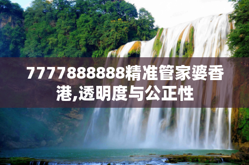 7777888888精准管家婆香港,透明度与公正性