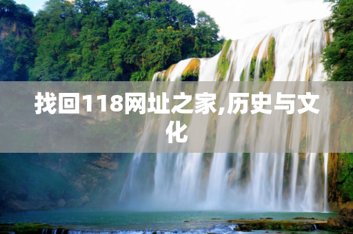 找回118网址之家,历史与文化