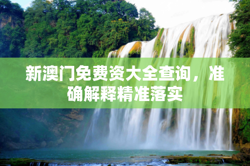 新澳门免费资大全查询，准确解释精准落实