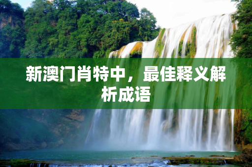 新澳门肖特中，最佳释义解析成语