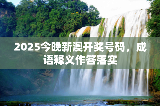 2025今晚新澳开奖号码，成语释义作答落实