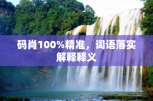 码肖100%精准，词语落实解释释义