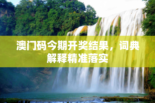 澳门码今期开奖结果，词典解释精准落实