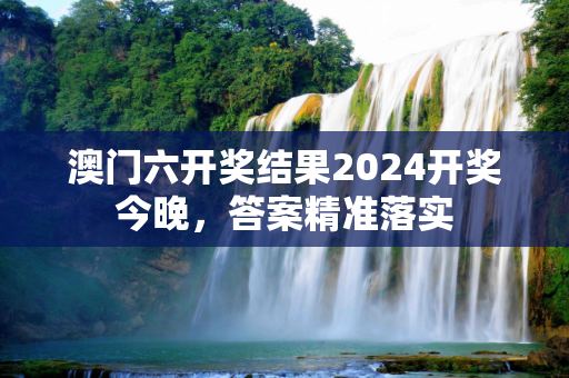 澳门六开奖结果2024开奖今晚，答案精准落实