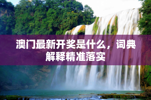 澳门最新开奖是什么，词典解释精准落实