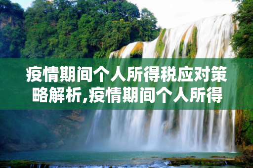 疫情期间个人所得税应对策略解析,疫情期间个人所得税应对策略解析