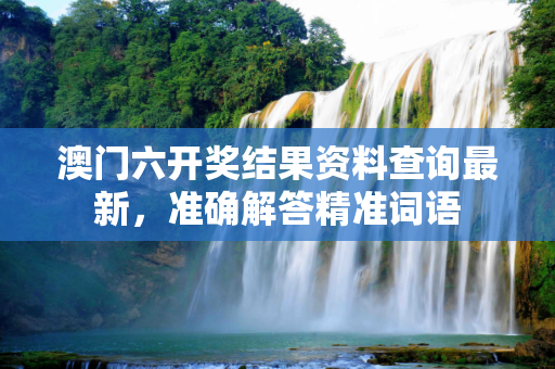 澳门六开奖结果资料查询最新，准确解答精准词语