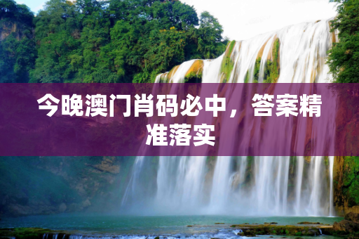 今晚澳门肖码必中，答案精准落实