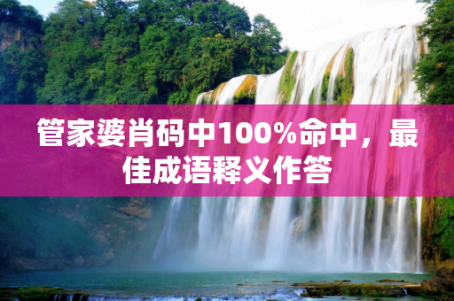 管家婆肖码中100%命中，最佳成语释义作答