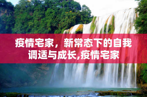 疫情宅家，新常态下的自我调适与成长,疫情宅家