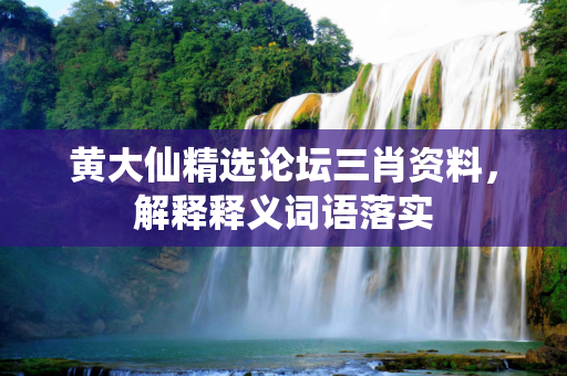 黄大仙精选论坛三肖资料，解释释义词语落实