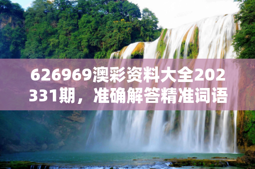 626969澳彩资料大全202331期，准确解答精准词语