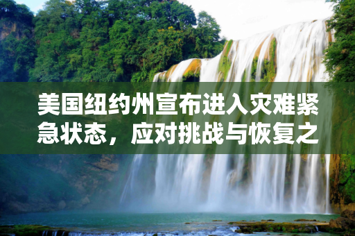 美国纽约州宣布进入灾难紧急状态，应对挑战与恢复之路,美国纽约州进入灾难紧急状态