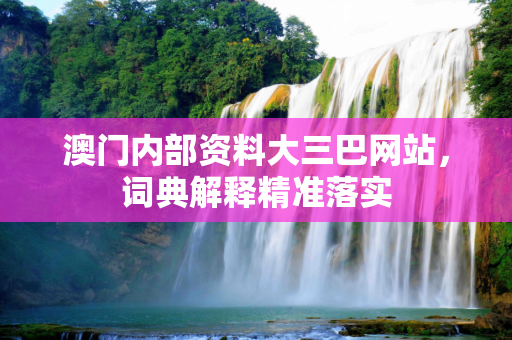 澳门内部资料大三巴网站，词典解释精准落实