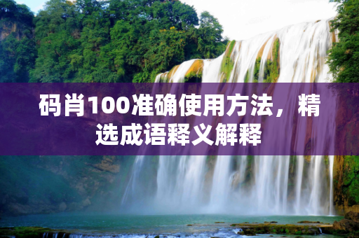 码肖100准确使用方法，精选成语释义解释