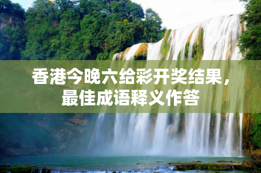 香港今晚六给彩开奖结果，最佳成语释义作答