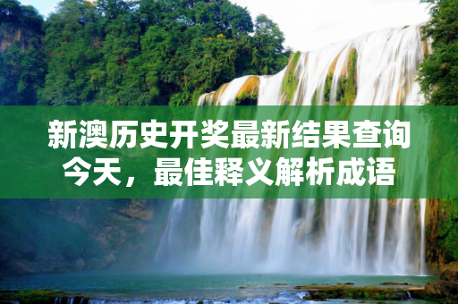 新澳历史开奖最新结果查询今天，最佳释义解析成语