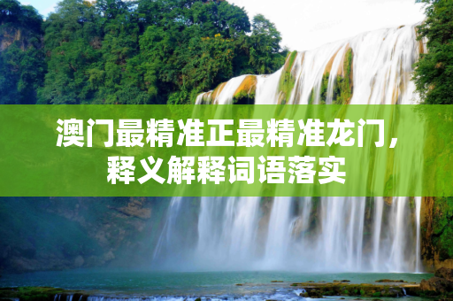 澳门最精准正最精准龙门，释义解释词语落实