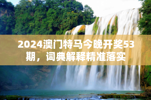 2024澳门特马今晚开奖53期，词典解释精准落实