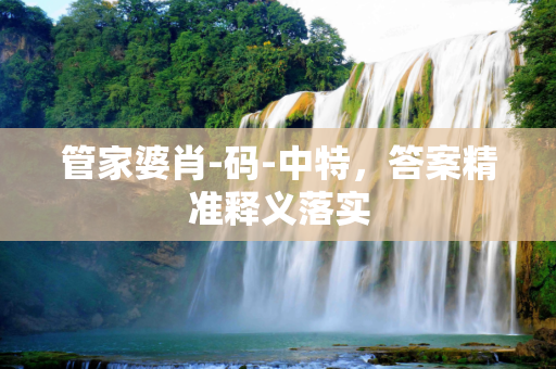 管家婆肖-码-中特，答案精准释义落实