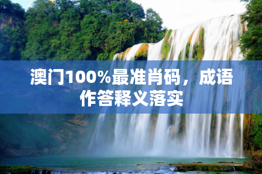 澳门100%最准肖码，成语作答释义落实