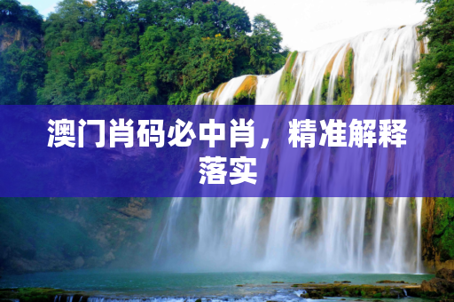 澳门肖码必中肖，精准解释落实