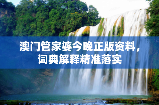 澳门管家婆今晚正版资料，词典解释精准落实
