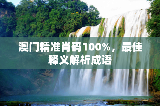澳门精准肖码100%，最佳释义解析成语