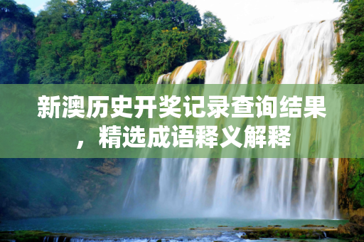 新澳历史开奖记录查询结果，精选成语释义解释