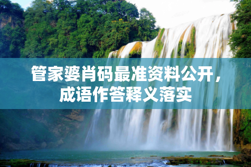 管家婆肖码最准资料公开，成语作答释义落实