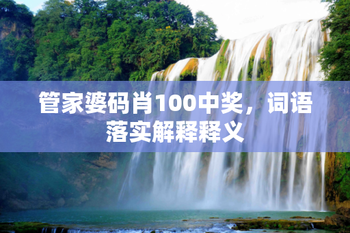 管家婆码肖100中奖，词语落实解释释义