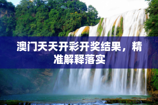 澳门天天开彩开奖结果，精准解释落实