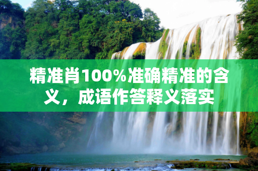 精准肖100%准确精准的含义，成语作答释义落实