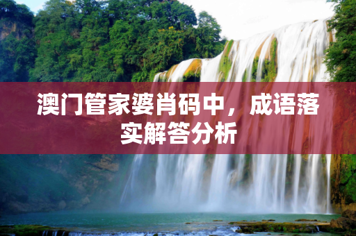 澳门管家婆肖码中，成语落实解答分析