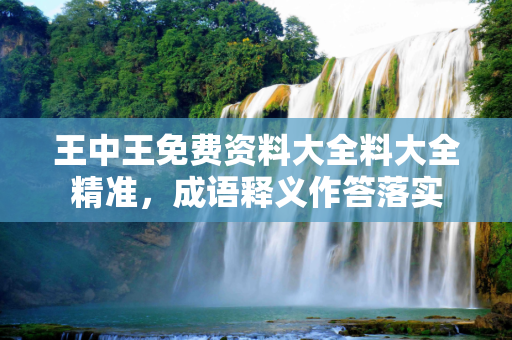 王中王免费资料大全料大全精准，成语释义作答落实