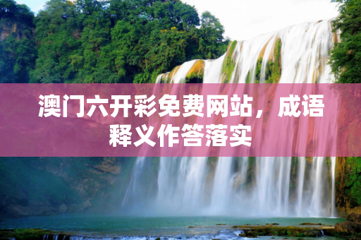 澳门六开彩免费网站，成语释义作答落实