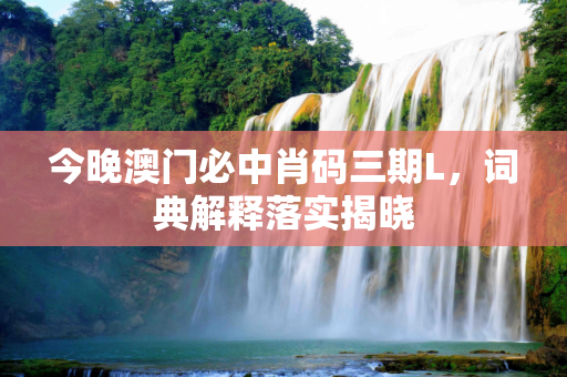 今晚澳门必中肖码三期L，词典解释落实揭晓