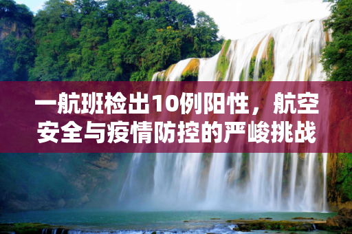 一航班检出10例阳性，航空安全与疫情防控的严峻挑战,一航班检出10例阳性