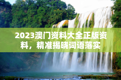 2023澳门资料大全正版资料，精准揭晓词语落实