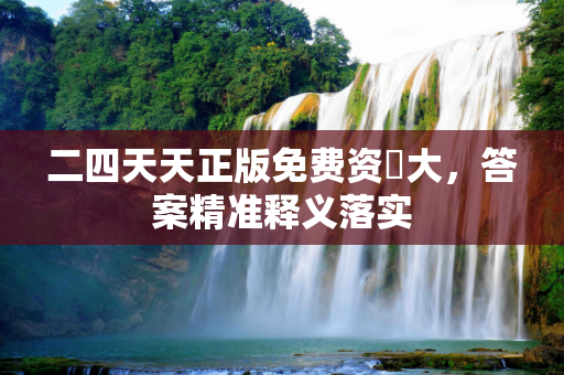 二四天天正版免费资枓大，答案精准释义落实