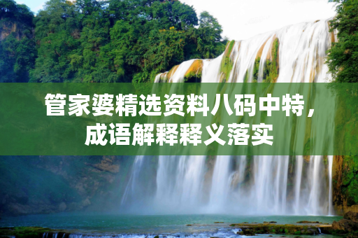 管家婆精选资料八码中特，成语解释释义落实