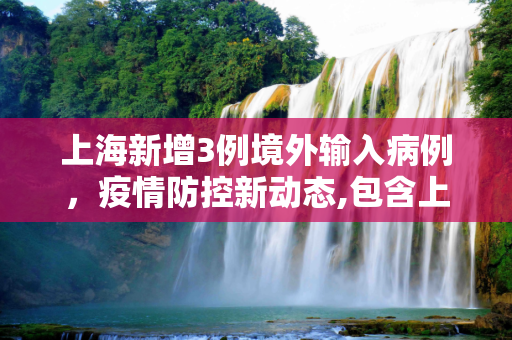 上海新增3例境外输入病例，疫情防控新动态,包含上海新增3例境外输入病例的词条