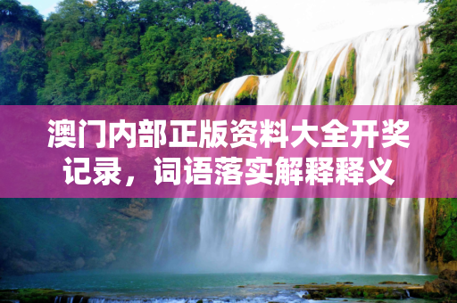 澳门内部正版资料大全开奖记录，词语落实解释释义
