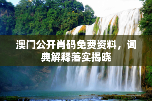 澳门公开肖码免费资料，词典解释落实揭晓