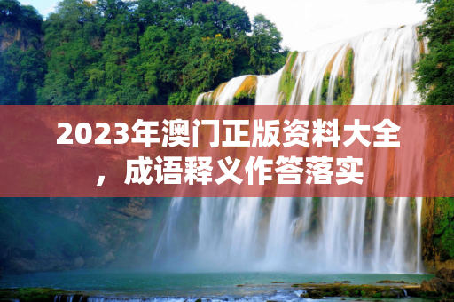 2023年澳门正版资料大全，成语释义作答落实