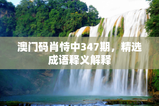 澳门码肖恃中347期，精选成语释义解释